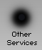 Other Services