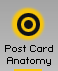 Post Card Anatomy