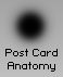 Post Card Anatomy
